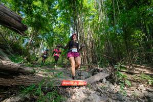 BIB: 
                            <button type="button" onclick="openModal(19390807)" class="btn btn-primary btn-sm float-right btn-popup" data-toggle="modal" data-target=".modal-high-quality">
                        <i class="fas fa-shopping-cart"></i> Add to Cart
                    </button>
                                            <button type="button" onclick="isThisMe(19390807, true)" class="btn btn-success btn-sm float-right btn-popup btn-isme hidden" data-toggle="tooltip" data-placement="bottom" title="นี่คือรูปของคุณใช่ไหม คลิกที่นี่เพื่อเอาเข้าอัลบั้ม">
                        <i class="fas fa-plus"></i> Add to album
                    </button>
                    <button type="button" onclick="isThisMe(19390807, false)" class="btn btn-warning btn-sm float-right btn-popup btn-isnotme hidden">
                        <i class="fas fa-ban"></i> Remove from album
                    </button>